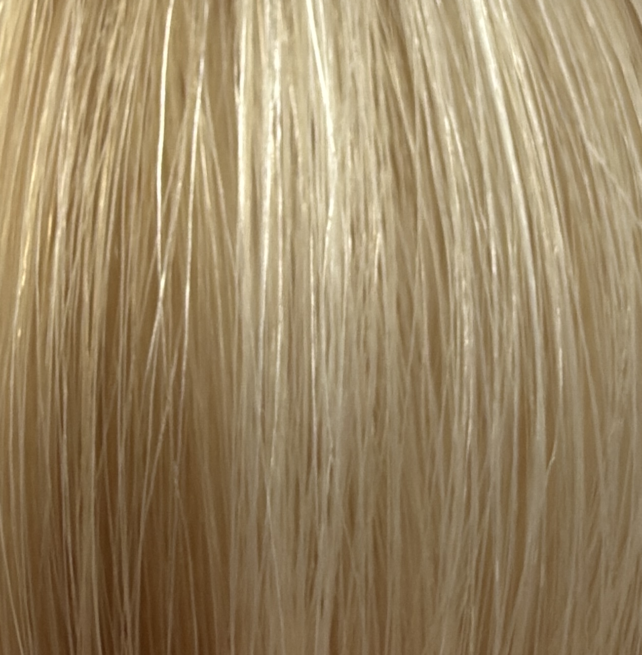 INVISIBLE WEFT