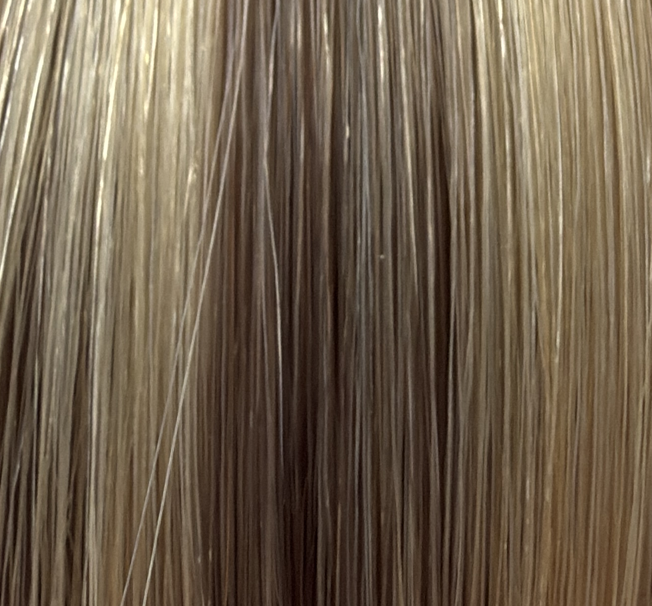 INVISIBLE WEFT
